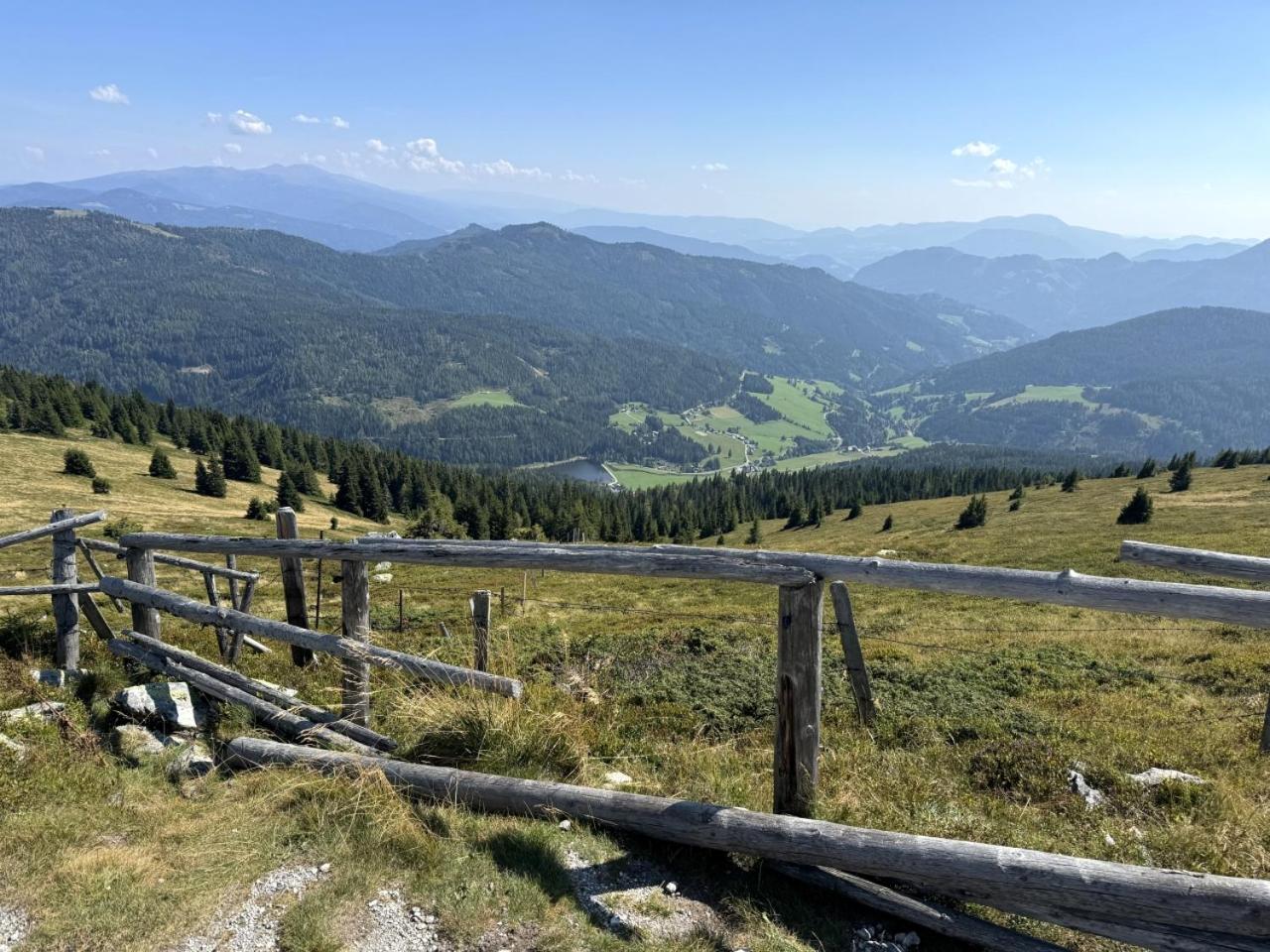 Almnest - Lachtal